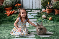 Bunny 2026 | Nespoli