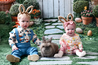 Bunny 2026 | Weaver
