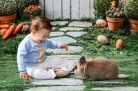 Bunny 2026 | McMenamin