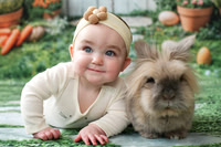 Bunny 2026 | Rozzi