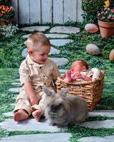 Bunny 2026 | Costa