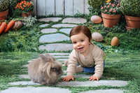 Bunny 2026 | Sapienza