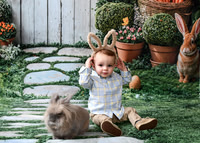 Bunny 2026 | Malick