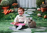 Bunny 2026 | Benonis