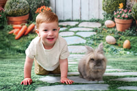 Bunny 2026 | DiFilippo