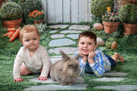 Bunny 2026 | Daniels
