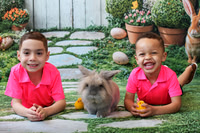 Bunny 2026 | Cartafalsa