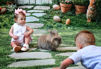 Bunny 2026 | Bosler