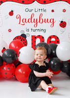 Little LadyBug turns ONE